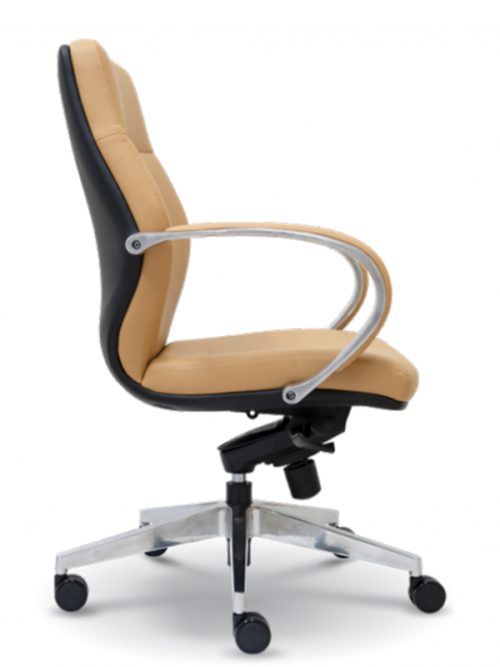 Director Chair